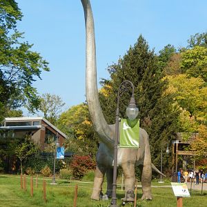 9/13/2024 - Omeisaurus