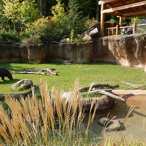 9/13/2024 - Pygmy Hippo Habitat (Right Half)