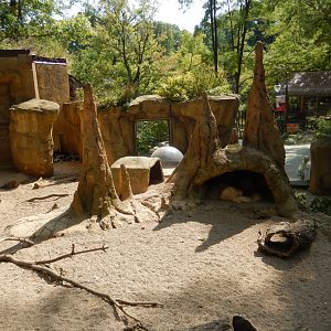 9/13/2024 - Meerkat & Cape Porcupine Habitat