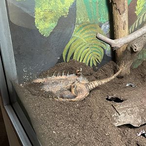 9/13/2024 - All Tuckered Out