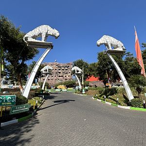 Zoo Entrance Area