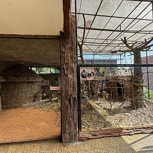 Wolf’s Mona Monkey Exhibit #2