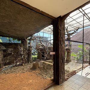 Wolf’s Mona Monkey Exhibit #2