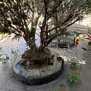 Nutria Exhibit #2 + Seating Area
