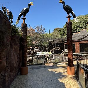 Hornbill Statues
