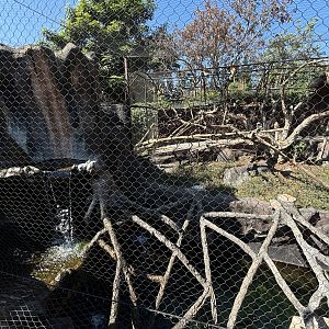Proboscis Monkey + Glossy Ibis Exhibit