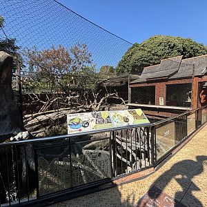 Proboscis Monkey + Glossy Ibis Exhibit