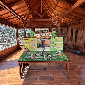 Proboscis Monkey + Glossy Ibis Exhibit