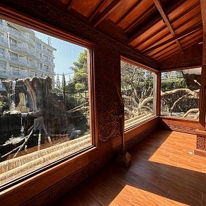 Proboscis Monkey + Glossy Ibis Exhibit