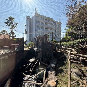 Proboscis Monkey + Glossy Ibis Exhibit