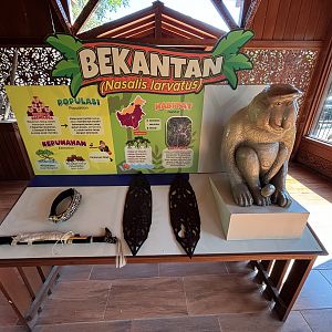 Proboscis Monkey Exhibit Sign