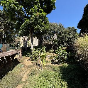 Giant Otter + Tufted Capuchin Exhibits