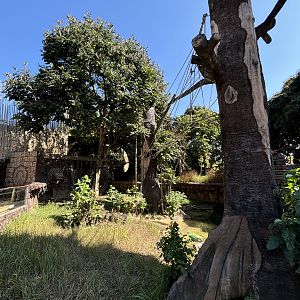 Giant Otter + Tufted Capuchin Exhibits