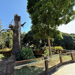 Giant Otter + Tufted Capuchin Exhibits