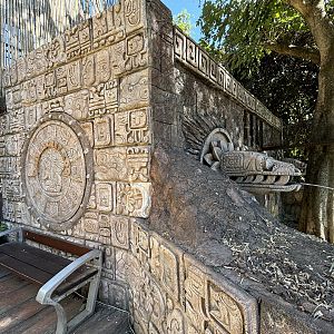 Giant Otter Holding Quarters