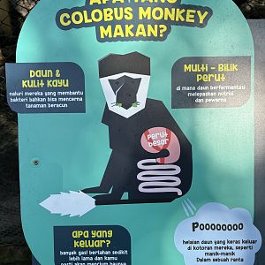 Colobus Monkey Sign