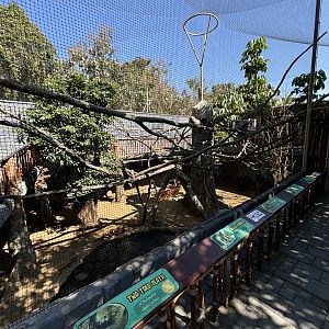 South American Exhibit (5 species)