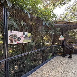 Large Flying Fox Exhibit