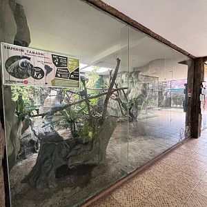 Emperor Tamarin Exhibit