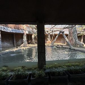 Amazon Jungle Exhibit