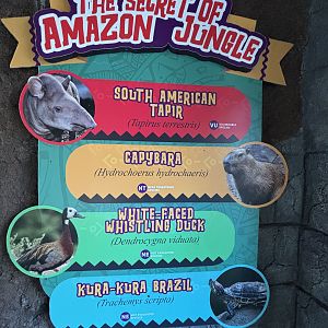 Amazon Jungle Exhibit Sign