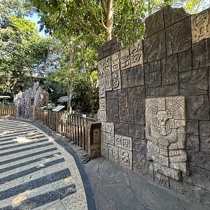 Giant Anteater Exhibit