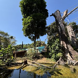 Giant Otter + Tufted Capuchin Exhibits