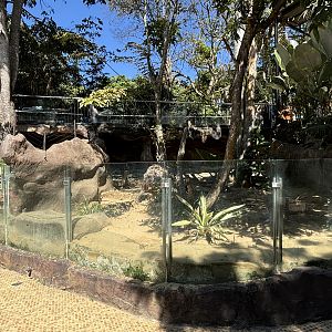 Fennec Fox Exhibit