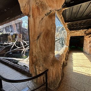 Proboscis Monkey + Glossy Ibis Exhibit