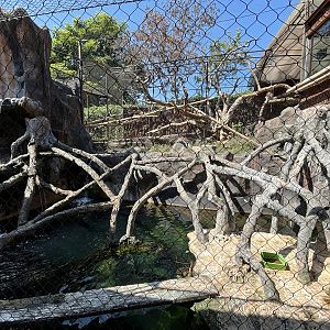 Proboscis Monkey + Glossy Ibis Exhibit
