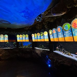 Aquarium