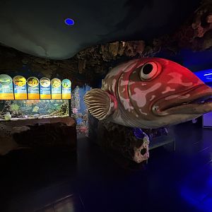 Aquarium