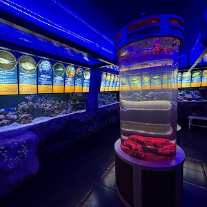 Aquarium