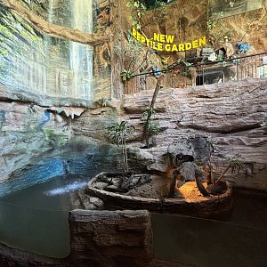 Small-clawed Otter Exhibit