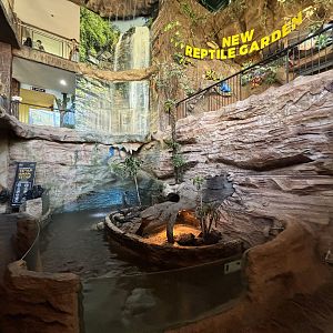 Small-clawed Otter Exhibit