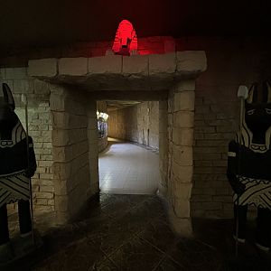 Reptile House Entrance Zone