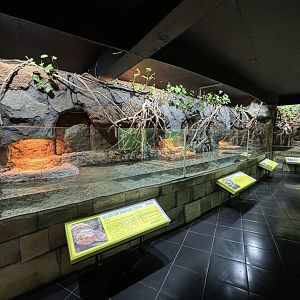 Reptile House