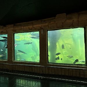 Megatank 10,000 Liter Exhibit