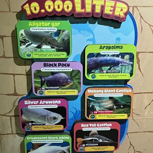 Megatank 10,000 Liter Exhibit