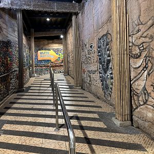 Reptile House Hallway