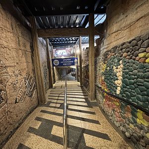 Reptile House Hallway