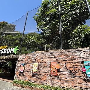 Lemur Kingdom (4 species)