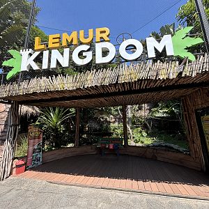 Lemur Kingdom (4 species)