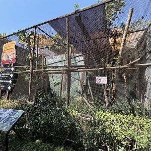 Red-collared Brown Lemur Exhibit