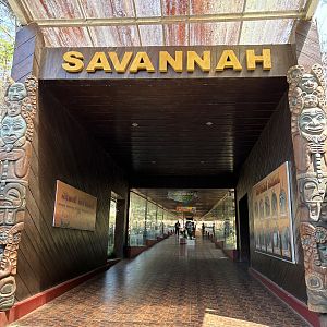 African Savanna - bizarre!