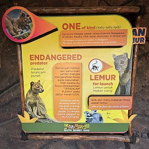 Fossa Exhibit Sign