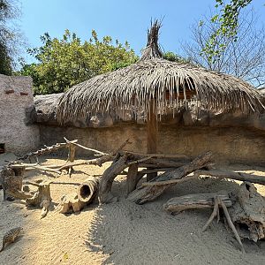 Meerkat + Crested Porcupine Exhibit