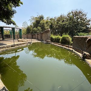 Asian Elephant Exhibit