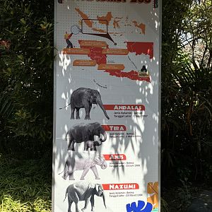 Asian Elephant Exhibit Sign