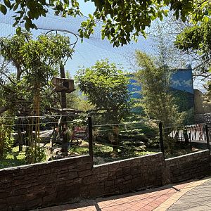 Red Panda Outdoor Exhibit (New in 2024)